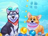 Bubble Dogs Dogs