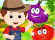 Vegetable Farm Splash Mania game