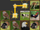 Onnect: Pair Matching Puzzle Onnect: Pair Matching Puzzle