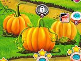 Farm Course in Match Story Match Story Farm Course