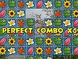 Flowery Vale Combo Moves Combo Moves in Flowery Vale