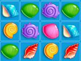Shells in Ocean Story Ocean Story Shells