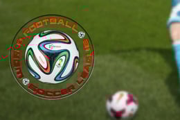 World Football Soccer League thumb