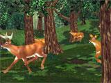 Big Buck Hunter hunting deer