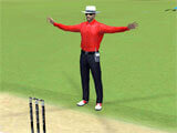 Real Cricket 18: Umpiring