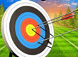 Archery World Tour preview image