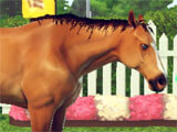 Rival Stars Horse Racing Rival Stars Horse Racing