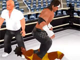 Wrestling Empire gameplay