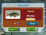 Fishing Paradise 3D Catch