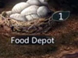 Giving food to swarms Feeding the swarms