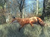 theHunter wildlife