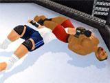 Wrestling Revolution 3D: Combo Moves