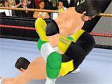 Wrestling in Wrestling Revolution 3D