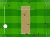 Aerial View in Cricket Master Blaster