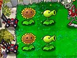 Set up your defenses in PvZ