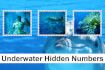 Underwater Hidden Numbers thumb