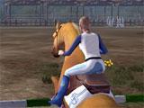 Planet Horse Show Jumping