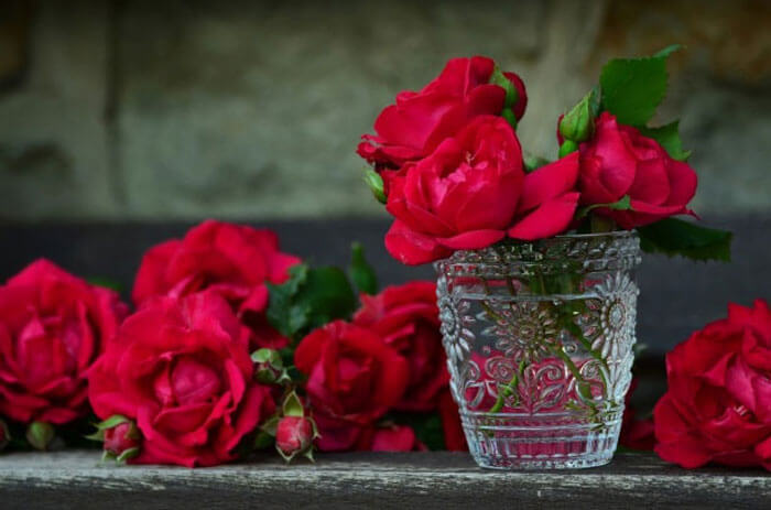 Roses Roses