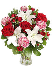 Serenata Flowers Serenata Flowers