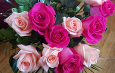 Send Flowers