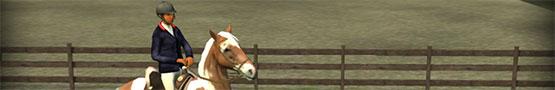 Jocuri online cu cai - Why Horse Games Are Suitable for Boys Too?