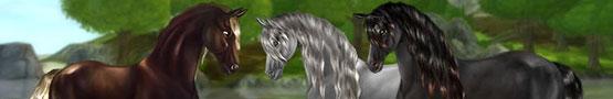 Pferde Spiele Online - Learning More About Horses in Horse Sims