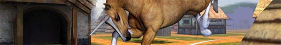 Horse Games Online - Horse Games: Yay or Neigh