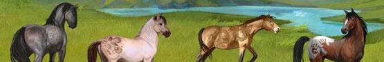 Online Paarden games - Horse Simulation Games