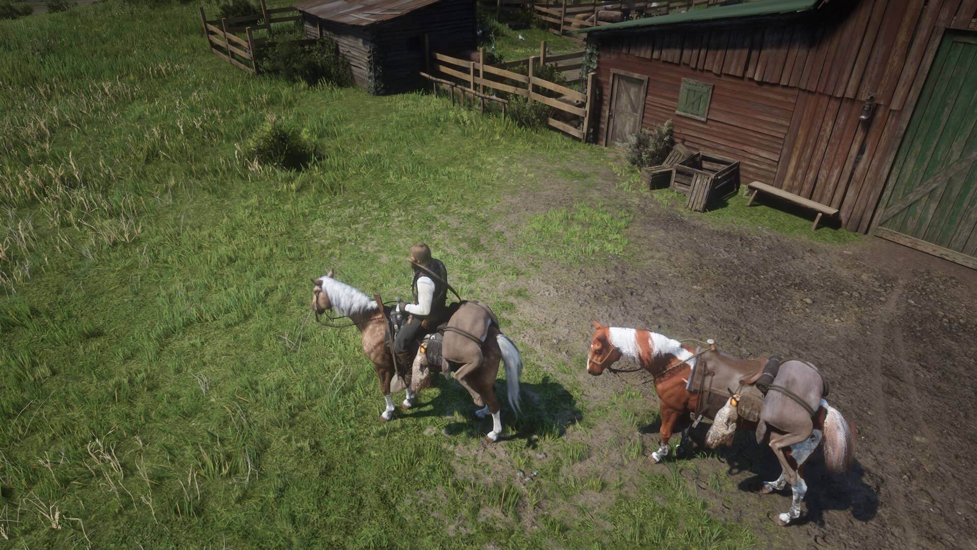 Hunting with horses in Red Dead Redemption 2 