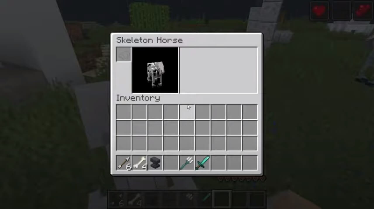 Skeleton Horse Details