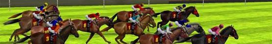 Online Paarden games - Is There An Ideal Weight for Training Horses