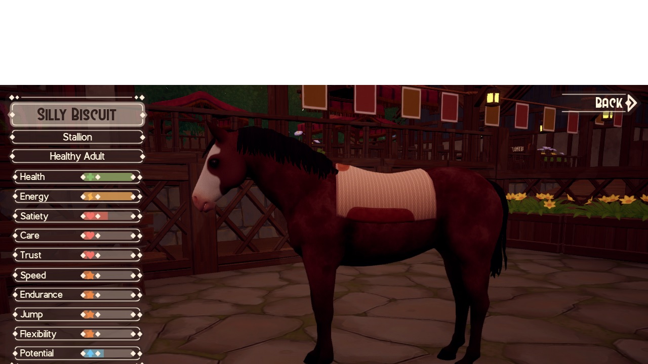 Your Career Horse Your Career Horse