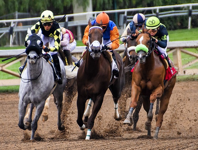 Horses competing in a race