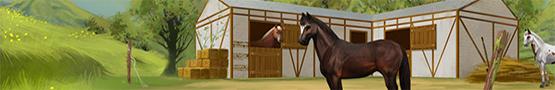 Pferde Spiele Online - How to Find a Great Name for Your Horse Pferde Spiele Online - How to Find a Great Name for Your Horse