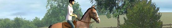 Jogos de Cavalos Online - Best Horse Games on Android