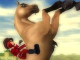 Star Stable Trick Riding