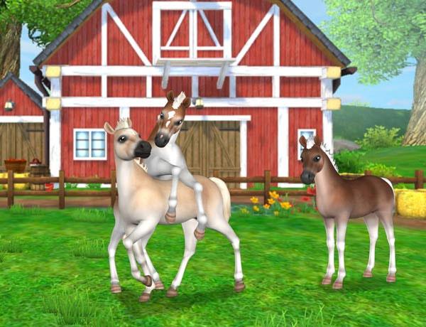 New Foals in Star Stable Horses