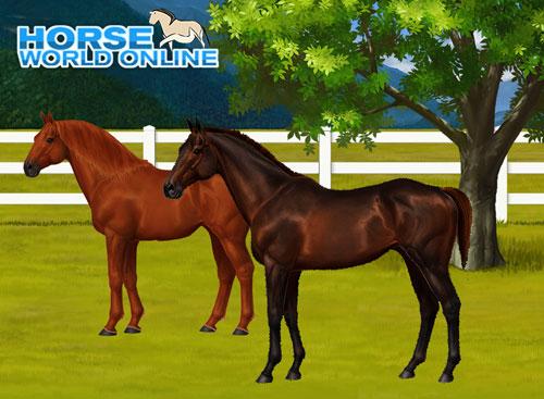 Horse World Online