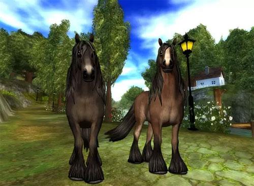 North Swedish Horses Arrive in Star Stable
