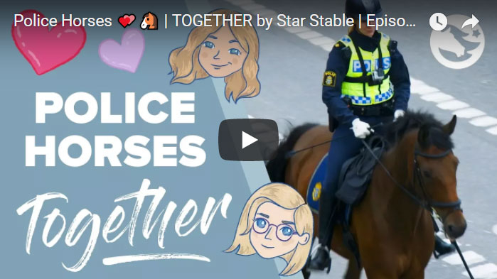 TOGETHER by Star Stable 3: Police Horses