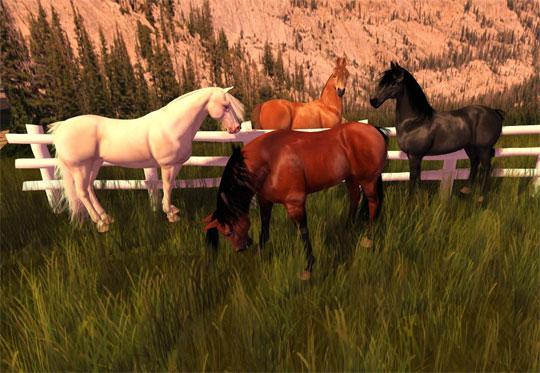 Wonderful Horses in Second Life