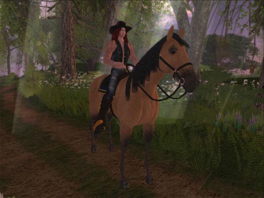 Be a Cowboy in Second Life