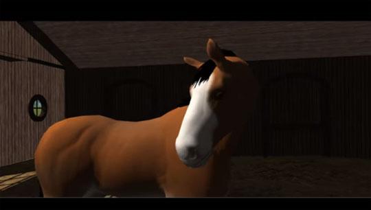 Enjoy a Foal Video for Upcoming Game Virtual Horse Ranch 3D