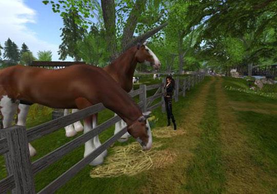 HORSE RANCHER free online game on