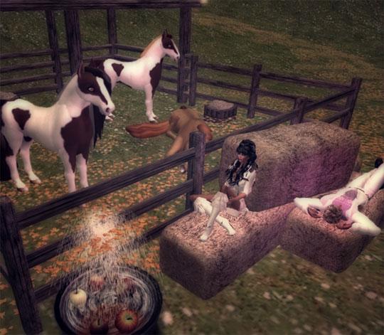 Social Riding in Second Life