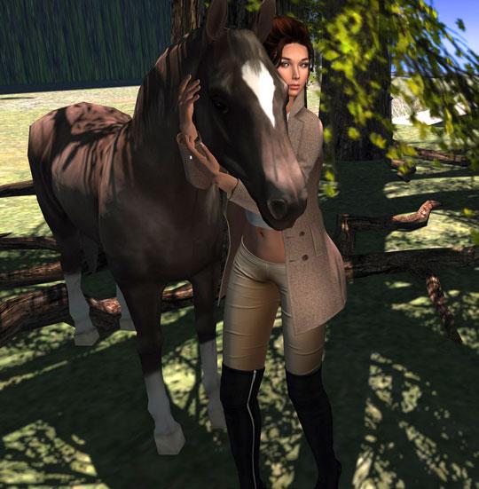 Get Yourself a Magnificent Horse in Second Life Get Yourself a Magnificent Horse in Second Life