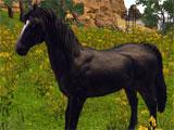 ArcheAge: Black Liliyut Horse