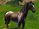 ArcheAge: Dappled Lilyut Horse