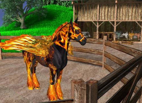 Fire Horse Fire Horse