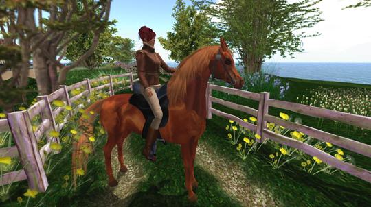 Beautiful Arabian Horse in Second Life Beautiful Arabian Horse in Second Life
